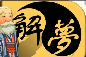 梦见老鼠视频封面