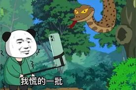 如果被五步蛇咬了，后退五步会怎样？（第一集）视频封面