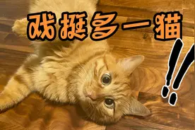 你一天到晚到底在想什么？？？视频封面