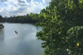 在广州，这是我去过最美的公园，重点是它免费，情侣拍拖必去景点视频封面