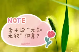 老子为何要说让百姓“无知无欲”？很多人恐怕误解了老子！视频封面