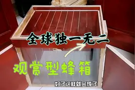 全球独一无二的蜂箱，可在房间里养蜜蜂，近距离观看蜜蜂酿蜜视频封面