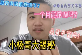 干货大揭秘：印尼青山项目靠谱吗？一个月能挣多少？疫情严重吗？视频封面