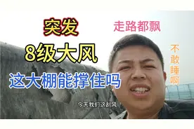 山东8级大风，很多大棚被掀翻，瓜农夜里不敢睡觉蹲在地里，真难视频封面