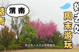 渭南西原上的一处美景，临渭区的朋友们去过吗周末踏青好去处视频封面