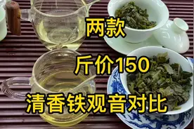测两款铁观音，都是低端口粮级，但是也是有本质差异的视频封面