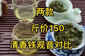 测两款铁观音，都是低端口粮级，但是也是有本质差异的视频封面