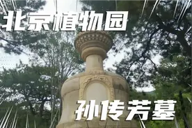 想不到北京植物园竟然藏着孙传芳的墓，一座挺大的墓园，难得一见视频封面