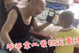 90多岁爷爷拿心爱物宠这1岁重孙 感动了孙媳妇 家有一老如有一宝视频封面