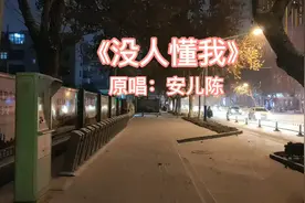 安儿陈的一首《没人懂我》没人关心我是谁，没人温暖我心扉。视频封面