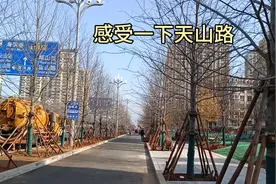 感受一下天山路改造后的绿化，真是大手笔，这一颗树不少钱吧！视频封面