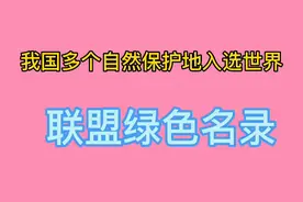 我国十一个自然保护地入选世界联盟绿色名录，看看有你的家乡吗视频封面