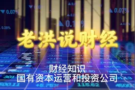 国有资本运营和投资公司对比视频封面