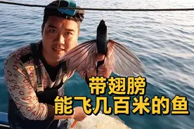 浮网捕鱼，今天父子俩没少捉飞鱼，13块一斤都是抢着买完视频封面