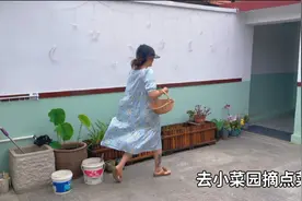 农村小院也干净利落，早上去菜园摘新鲜的蔬菜回来做早餐，真舒服视频封面