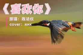 鸟语花香美丽动人的画面真是太美啦！柔美的歌声带你来欣赏。视频封面