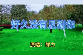 催泪情歌《好久没有见到你》，说好的永远不分离，如今你去了哪里视频封面