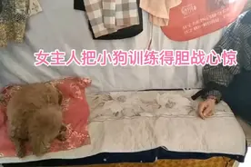 可怜的小狗被女主人吓得哆哆嗦嗦！视频封面