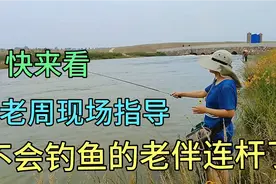 菜鸟女钓手第一次钓鱼，居然狂拉爆护，原来有秘诀啊！服不服。视频封面
