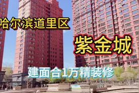 哈尔滨道里区紫金城建面合1万精装修视频封面