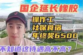 延长石油国企：操作工月入6500食宿，五险一金年终奖，不知高不高视频封面