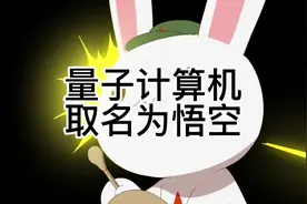 那兔是懂取名的，最新量子计算机取名为悟空。视频封面