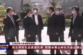 市委书记江凌考栾川养子沟、庄子村、铁路小镇 | 总设计师胡太明视频封面