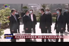 市委书记江凌考栾川养子沟、庄子村、铁路小镇 | 总设计师胡太明视频封面