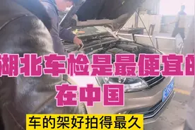 湖北6年车“年检”黄牛价要500，自己审这么便宜，半个小时就搞定视频封面
