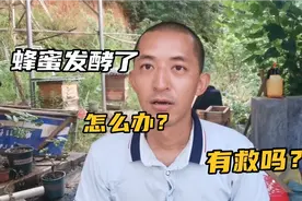 蜂蜜为什么会发酵？有没解决办法？难道一定要高温浓缩吗？