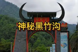 神秘黑竹沟视频封面