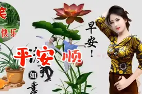 早上好！言语不多，祝福无限。视频封面
