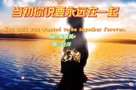 当初你说永远要在一起视频封面