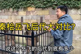 秦桧岳飞的后代都怎么样了？#秦桧后人#岳飞后人视频封面