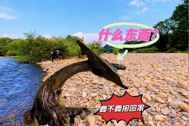 福建男子野外找奇石，水中拿起一黑色物体，看的他热血沸腾视频封面