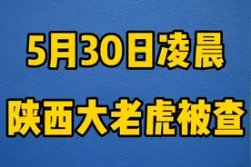5月30日凌晨陕西大老虎被查，一起来看看吧视频封面