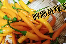 湖南特产黄辣椒，这样泡出来简单好吃又下饭视频封面