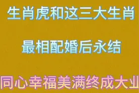 生肖虎和这三生肖最相配，婚后幸福美满，永结同心，终成大业。视频封面