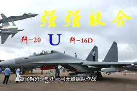 强强联合！歼20踹门，歼16D联合收割机！！！视频封面