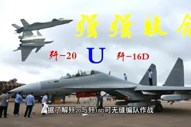 强强联合！歼20踹门，歼16D联合收割机！！！视频封面