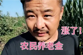2021年9月农民养老金涨了，看看山东德州60岁以上农民能领多少？视频封面