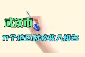 湖北省武汉市11个地区财政收入排名视频封面