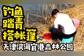 自驾游天津官港森林公园，发现能钓鱼的小树林，踏青搭帐篷太爽了