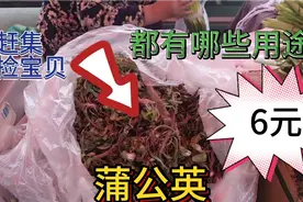 农村集市蒲公英价格惊人！看看多少钱？你知道有哪些用途吗？视频封面