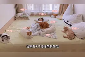 家有7只猫咪帮我带娃，它们分工明确，且各有所长视频封面