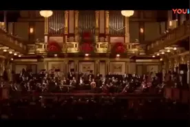 维也纳金色大厅古筝弹唱《枉凝眉》让外国人对中国古筝刮目相看图片