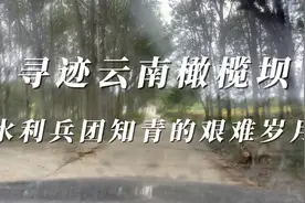 寻迹云南橄榄坝水利兵团知青的艰难岁月视频封面