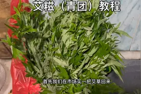 艾糍（青团）保姆级教程，赶紧学起来给家人做视频封面