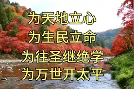为天地立心，为生民立命；为往圣继绝学，为万世开太平。#张载视频封面