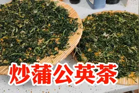 石家庄翠姐用铁锅炒蒲公英茶，方法简单好操作，茶香汤清不苦涩视频封面